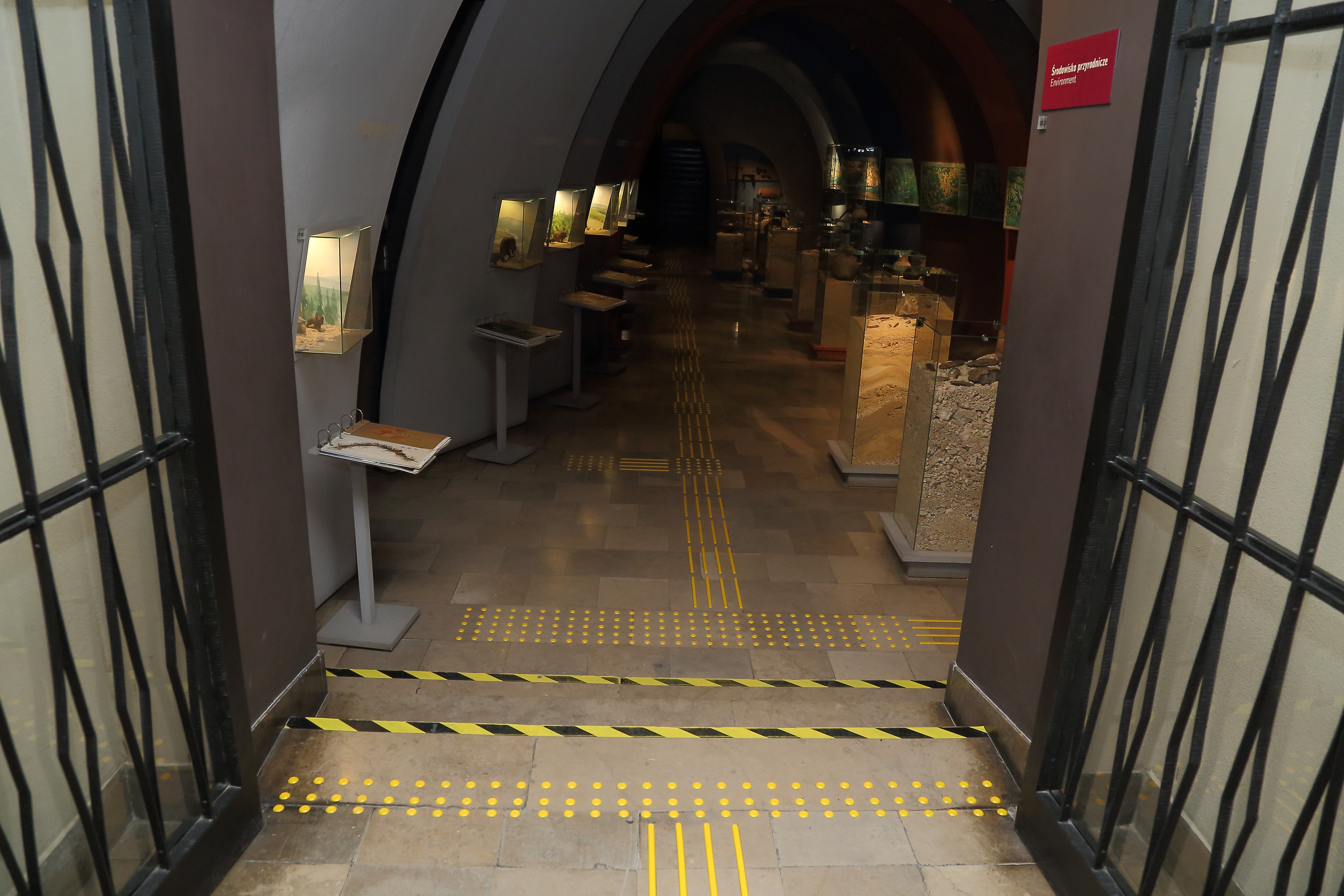 Muzeum Archeologiczne w Krakowie -  linie naprowadzające