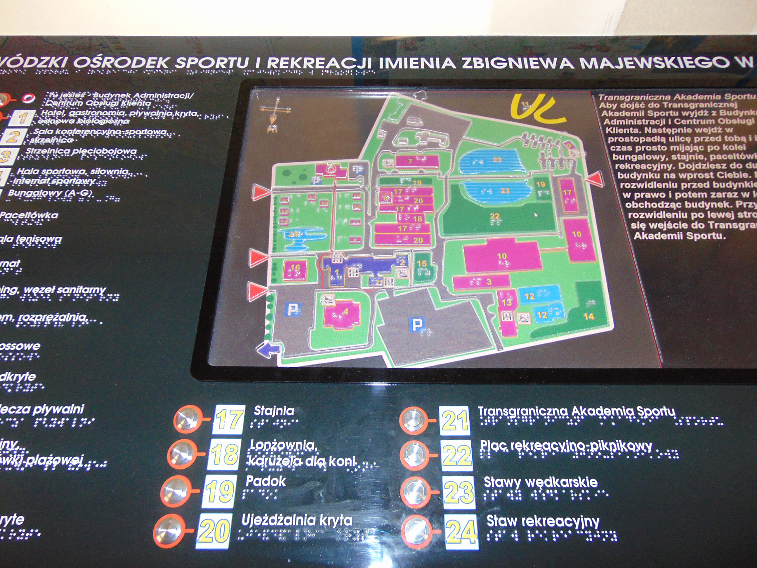 drzonków